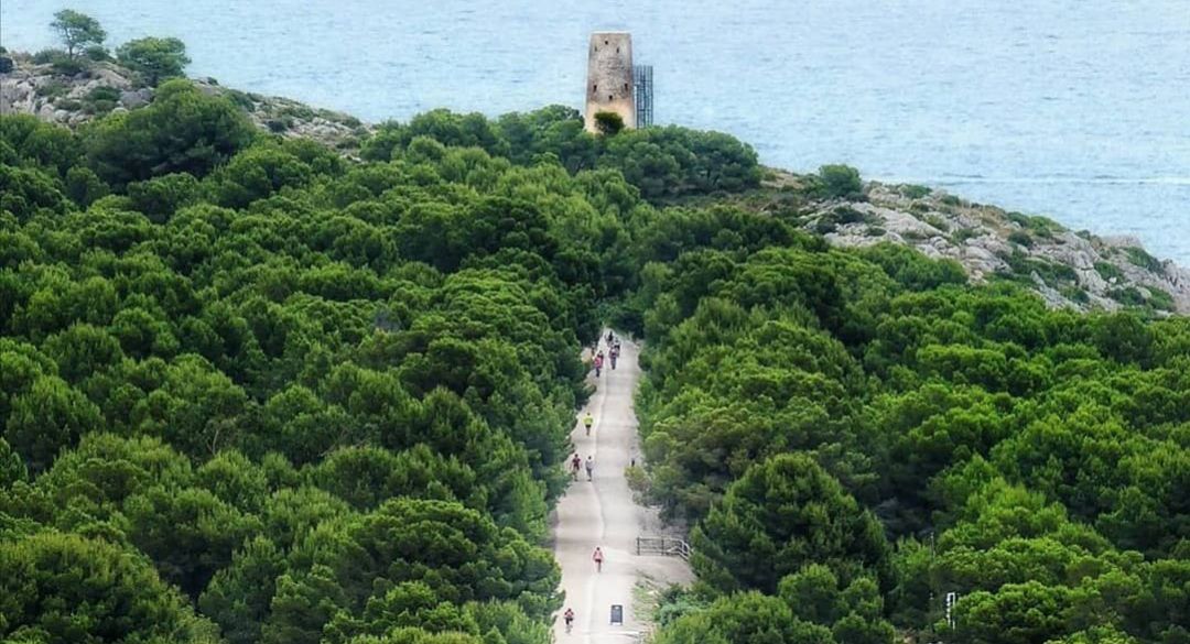 Vía verde Vía verde