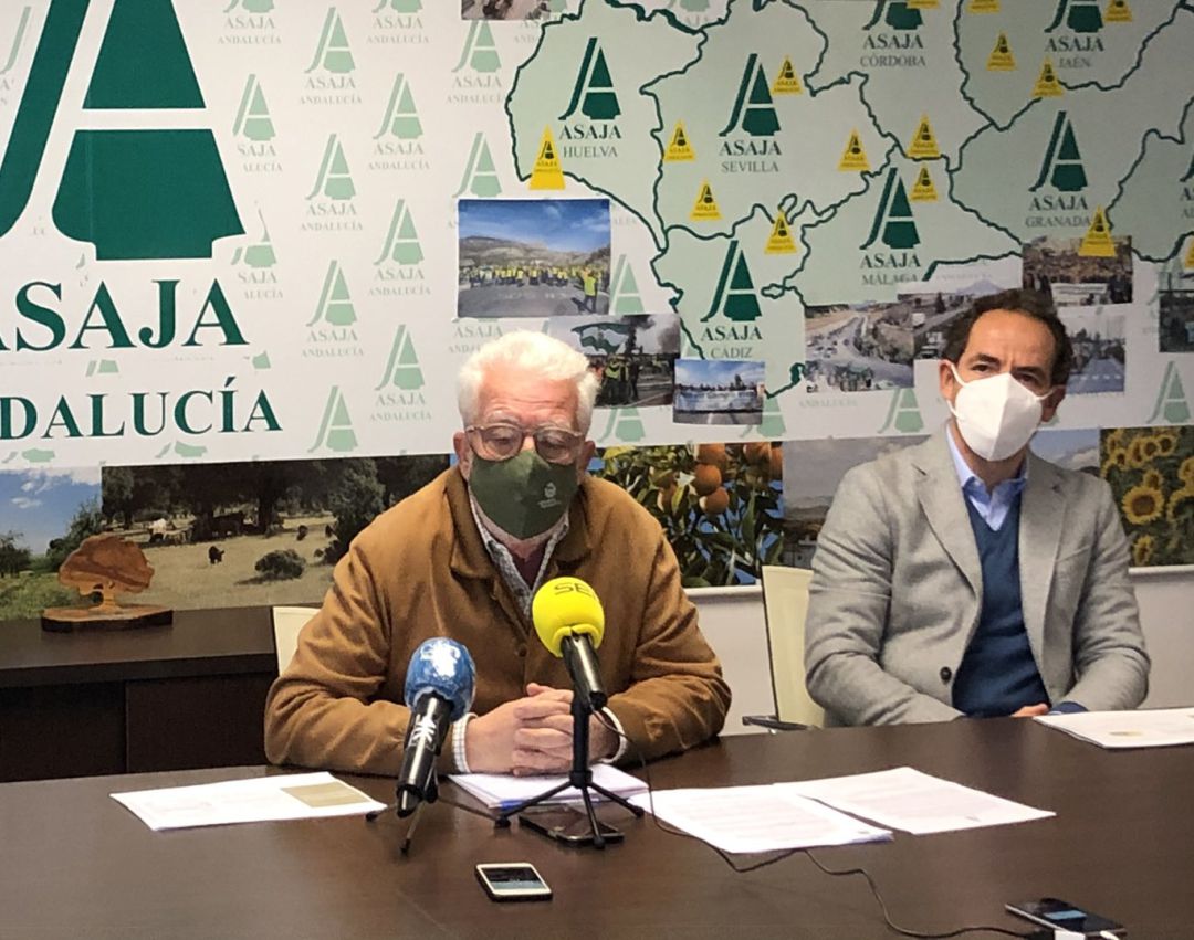 El presidente regional de ASAJA, Ricardo Serra -a la izquierda-, y Rafael tejada, presidente de la Plataforma Toro Bravo Andaluz, durante su comparecencia de este viernes El presidente regional de ASAJA, Ricardo Serra -a la izquierda-, y Rafael tejada, presidente de la Plataforma Toro Bravo Andaluz, durante su comparecencia de este viernes