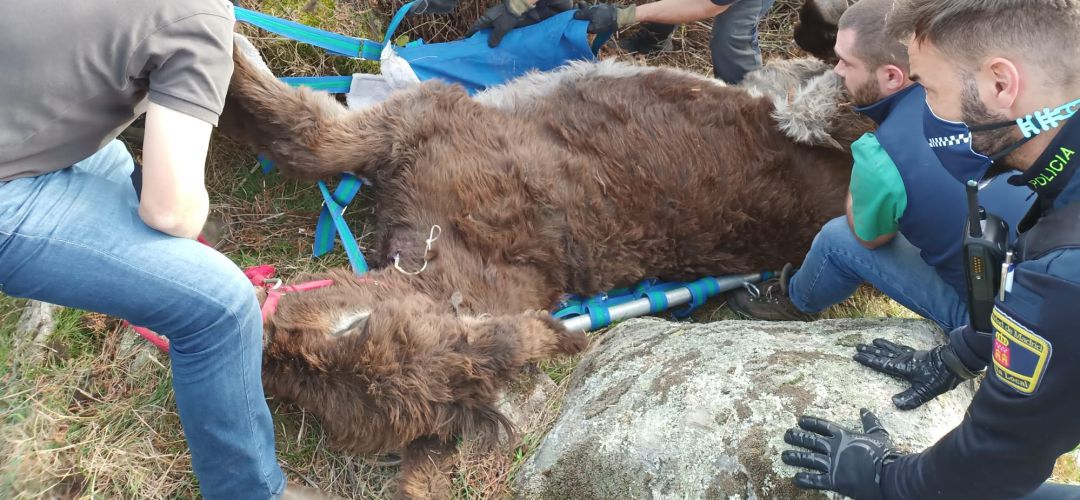 El suceso ocurrió cerca de la ermita de El Boalo, en la Sierra de Guadarrama
El suceso ocurrió cerca de la ermita de El Boalo, en la Sierra de Guadarrama