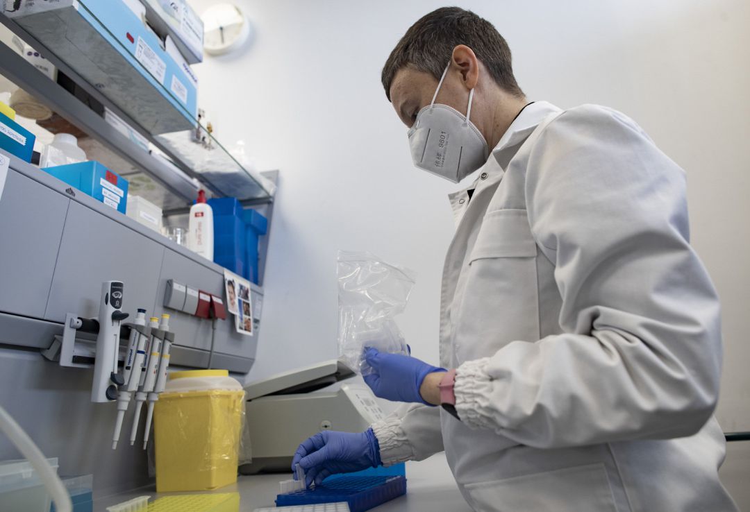 Un profesional sanitario examina varias muestras. Un profesional sanitario examina varias muestras.