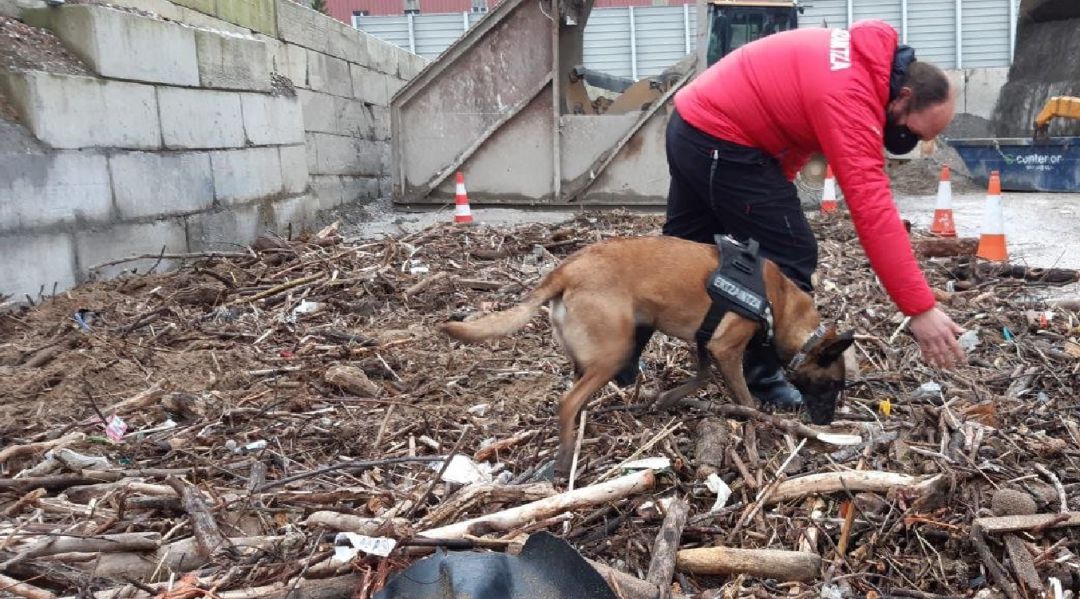 El arrestado es el presunto autor del homicidio de un varón cuyos restos fueron localizados en enero tanto en la zona de Arrigunaga, en Getxo, como en la ría El arrestado es el presunto autor del homicidio de un varón cuyos restos fueron localizados en enero tanto en la zona de Arrigunaga, en Getxo, como en la ría
