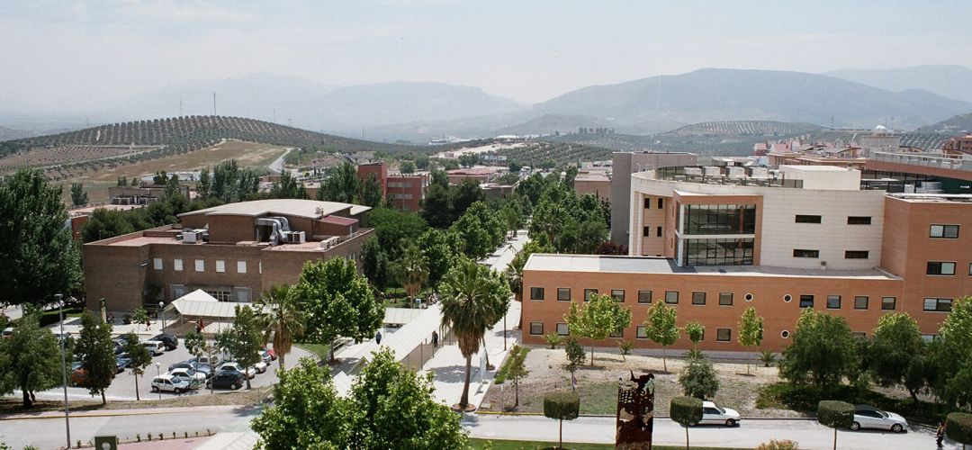 Campus de Las Lagunillas de la UJA. Campus de Las Lagunillas de la UJA.