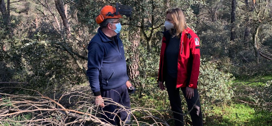 Valdelatas es una de las áreas más frecuentadas del Parque Regional de la Cuenca Alta del Manzanares Valdelatas es una de las áreas más frecuentadas del Parque Regional de la Cuenca Alta del Manzanares