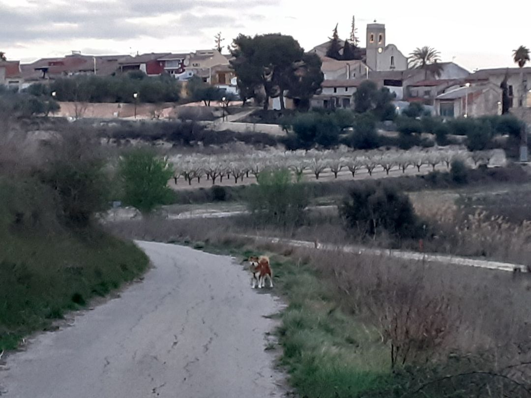 Imatge del municipi de Sempere Imatge del municipi de Sempere