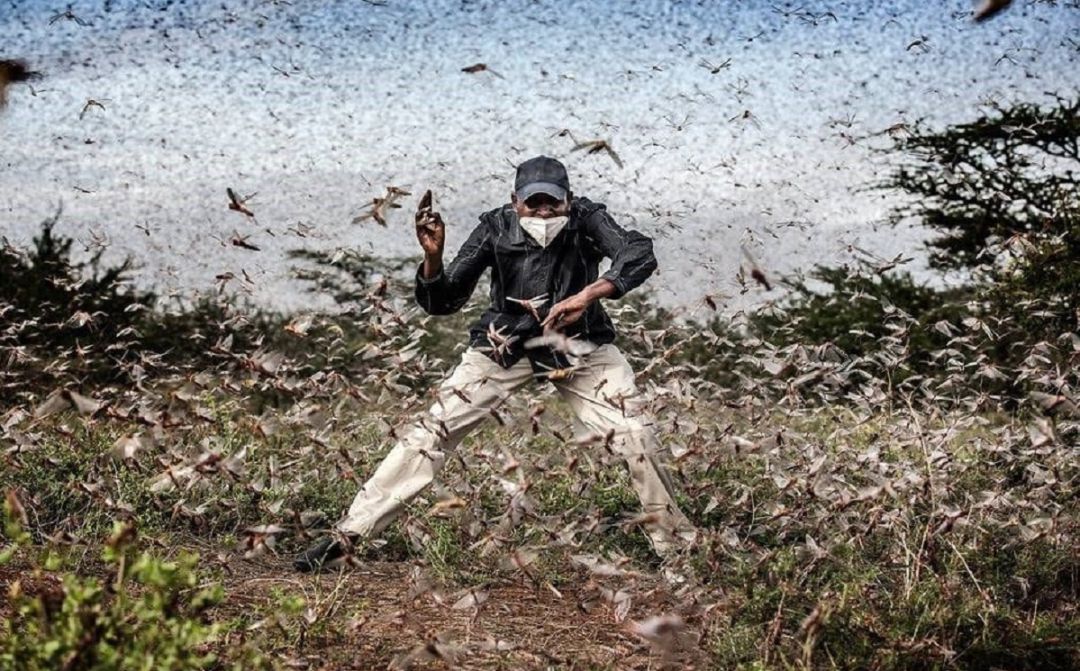 Fotografía de Luis Tato nominada al World Press Photo 2021. Fotografía de Luis Tato nominada al World Press Photo 2021.