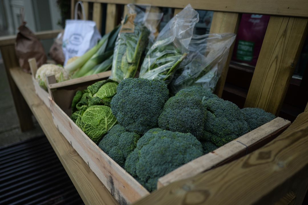 El brócoli es un alimento recomendable en la dieta. El brócoli es un alimento recomendable en la dieta.