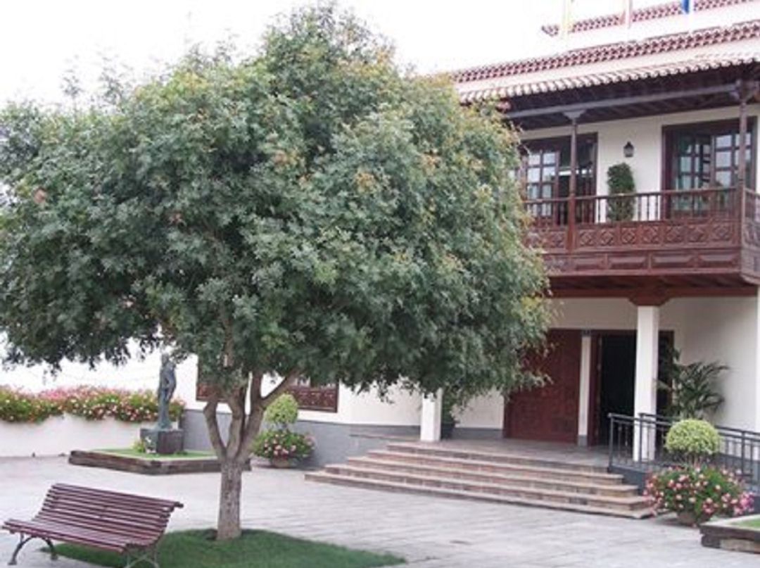 Ayuntamiento de Arona Ayuntamiento de Arona