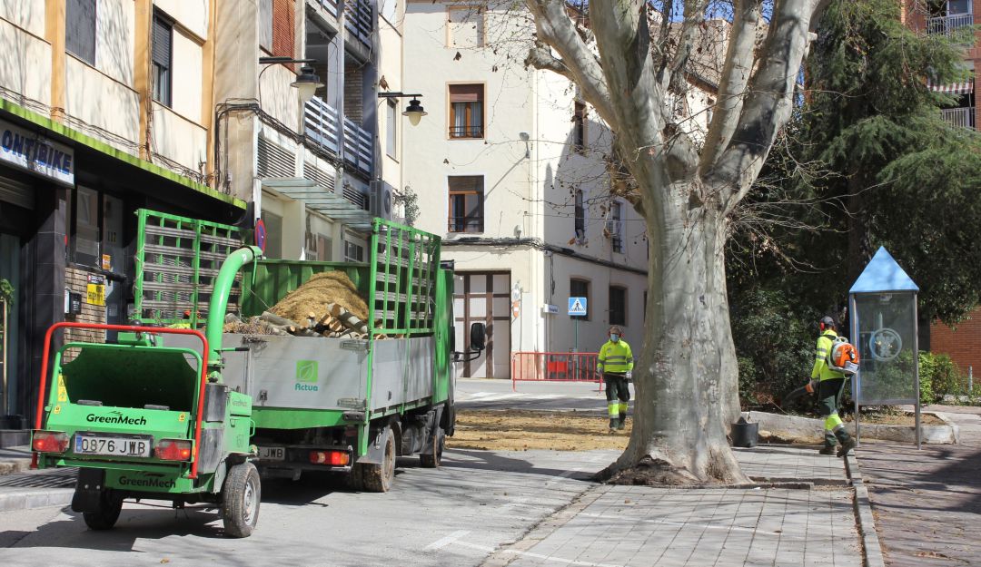 Treballs de poda a la zona Treballs de poda a la zona