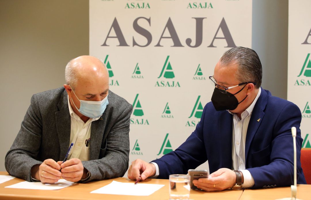 asaja asaja