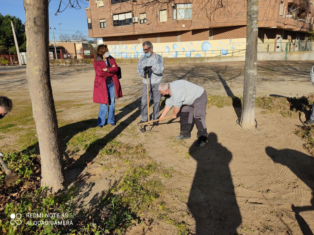 Trabajadores programa inserción laboral +52 Trabajadores programa inserción laboral +52