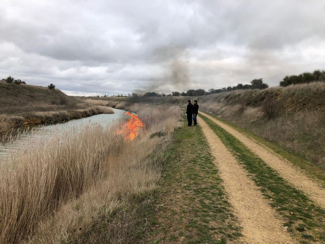 Denuncia de la Asociación de Naturalistas Palentinos por quemas incontroladas en el Canal Denuncia de la Asociación de Naturalistas Palentinos por quemas incontroladas en el Canal