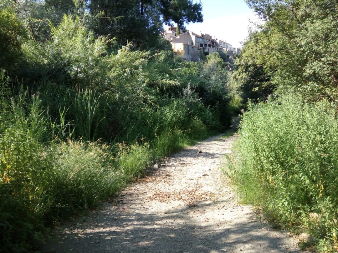 Imatge del riu Siurana sec al seu pas per Poboleda Imatge del riu Siurana sec al seu pas per Poboleda