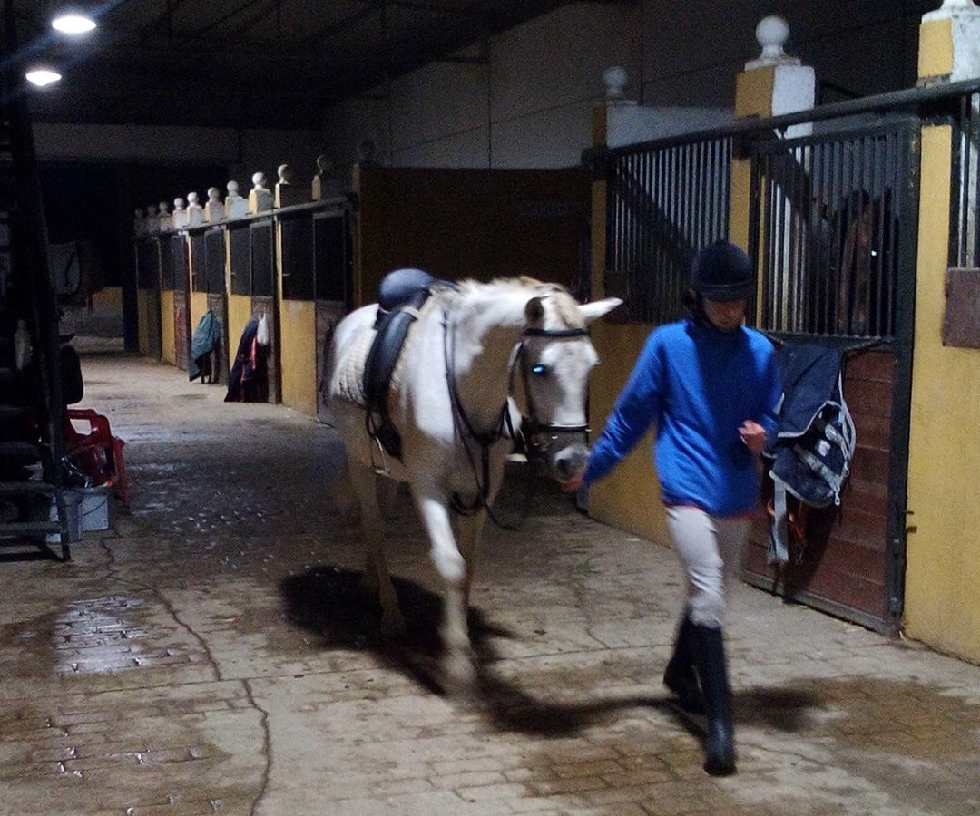 La Asociación de Hipoterapia de Andújar lleva a cabo actividades de terapia con caballos para niños con discapacidad. La Asociación de Hipoterapia de Andújar lleva a cabo actividades de terapia con caballos para niños con discapacidad.