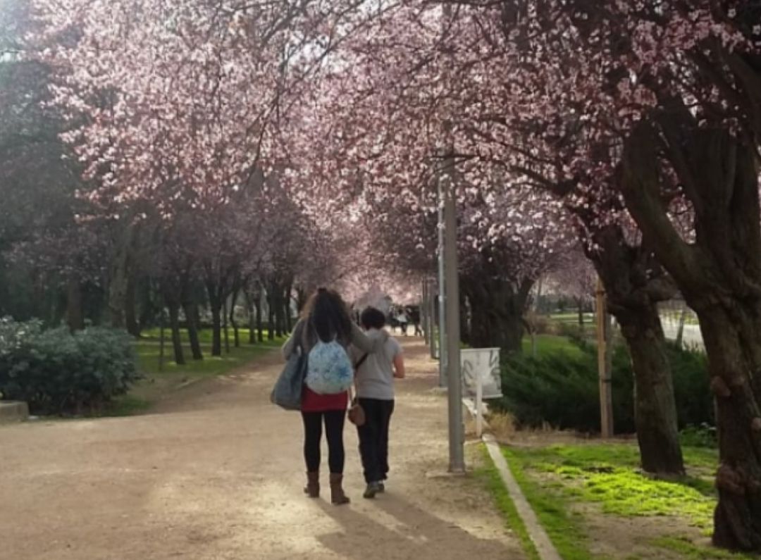 Isabel y su hijo pasean en un parque de Madrid. Isabel y su hijo pasean en un parque de Madrid.