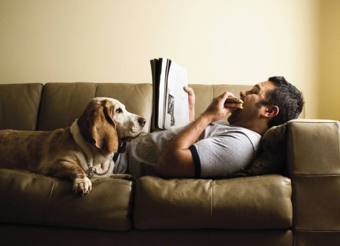 Durante el confinamiento, los hábitos de seres humanos y perros cambian Durante el confinamiento, los hábitos de seres humanos y perros cambian