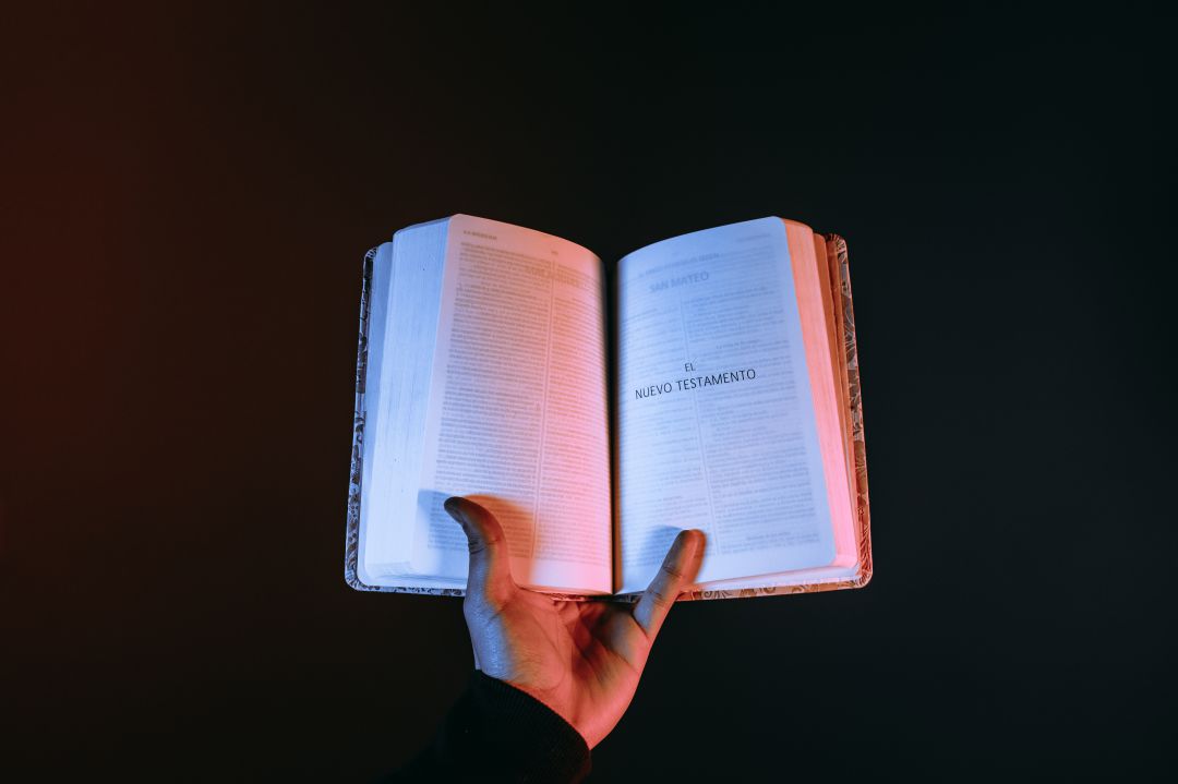 Los propietarios de librerías, tiendas de música y salas de cine se sinceran sobre su balance anual desde la llegada de la COVID-19 Los propietarios de librerías, tiendas de música y salas de cine se sinceran sobre su balance anual desde la llegada de la COVID-19