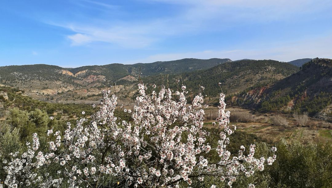 Paisaje en en el sendero del Agua en Santa Cruz de Moya (Cuenca). Paisaje en en el sendero del Agua en Santa Cruz de Moya (Cuenca).