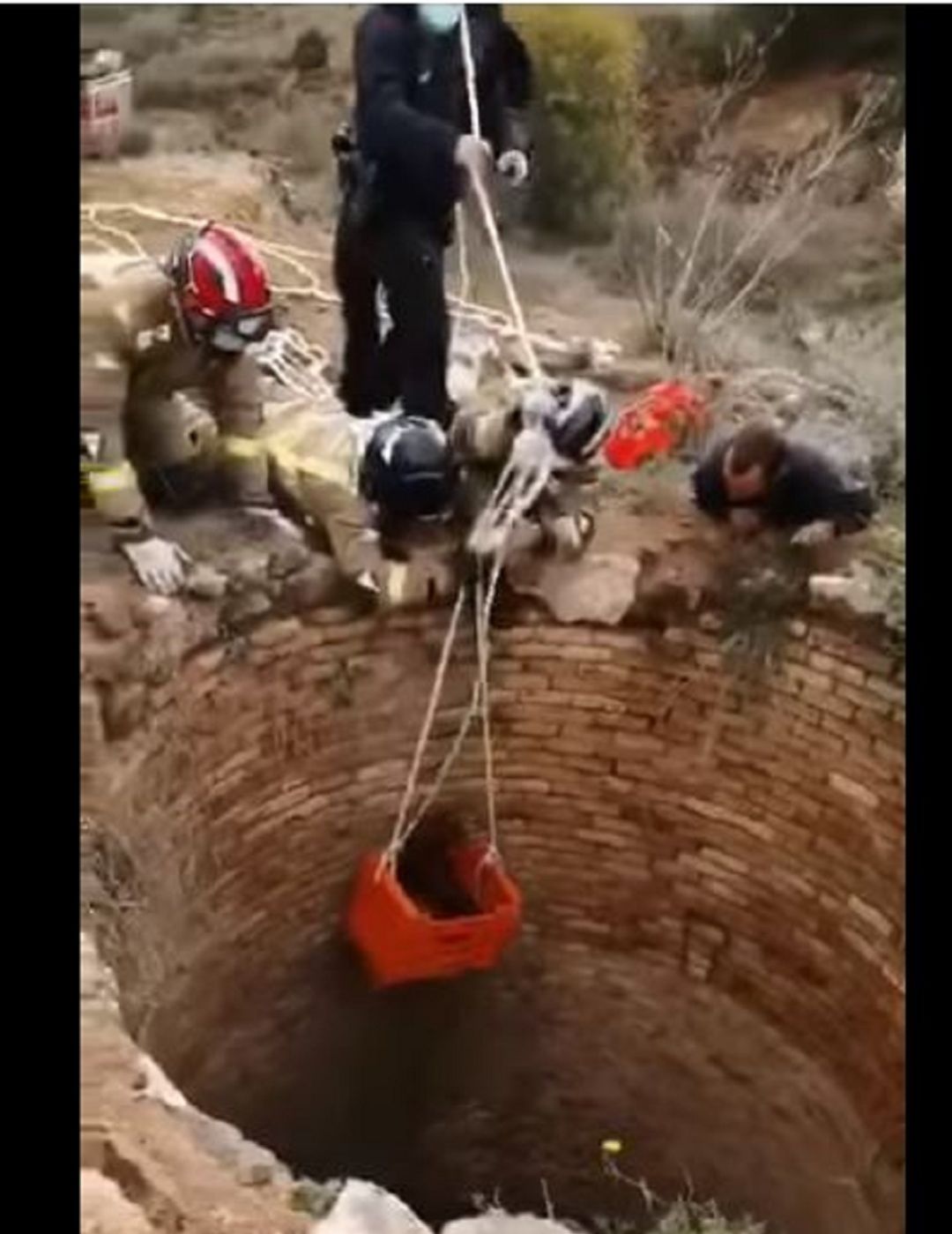 Rescate de un cachorro de un antiguo pozo minero Rescate de un cachorro de un antiguo pozo minero