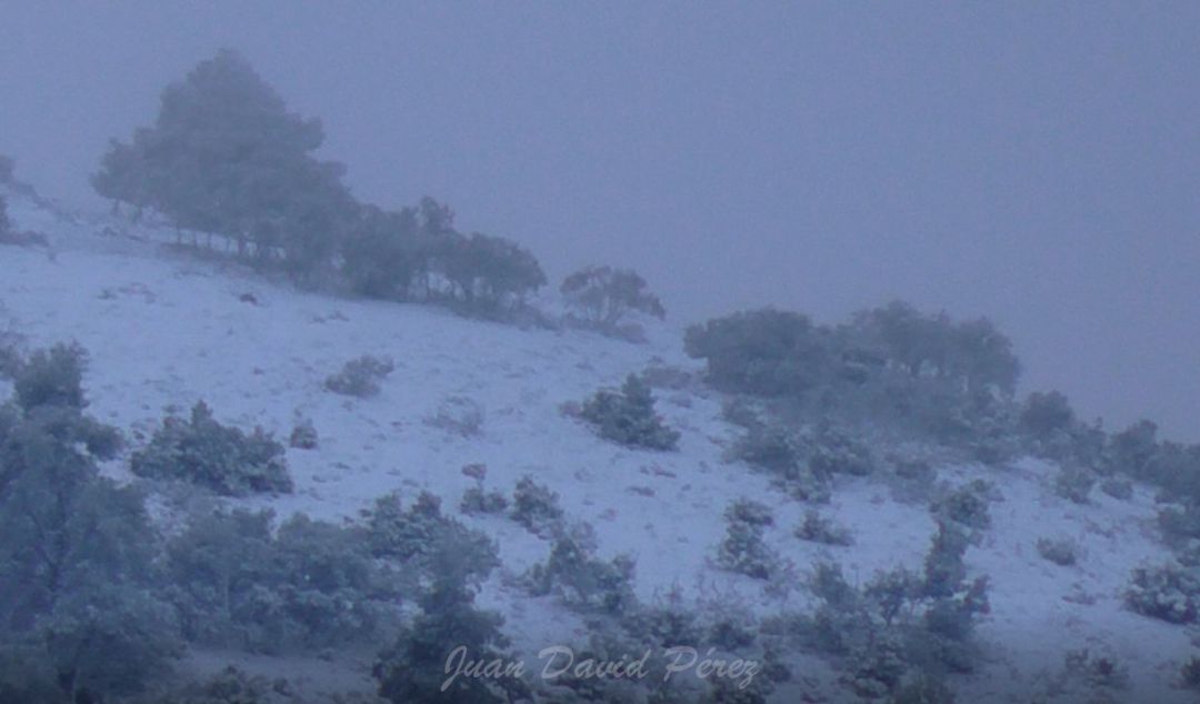 Nieve en las partes altas de Cehegín Nieve en las partes altas de Cehegín