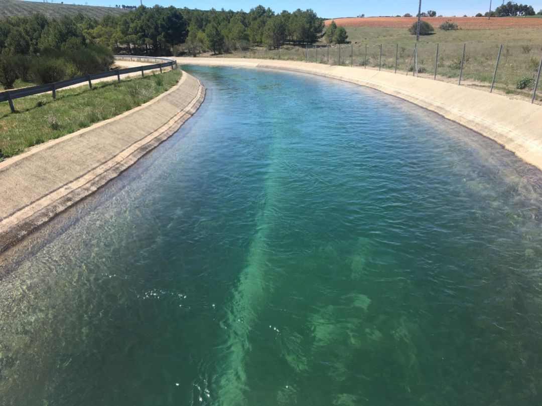 Canal del trasvase Tajo-Segura Canal del trasvase Tajo-Segura