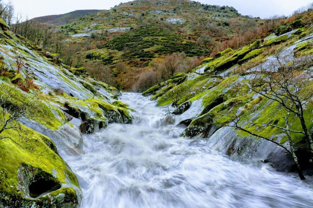 Torrente de agua del Norte de Extremadura Torrente de agua del Norte de Extremadura