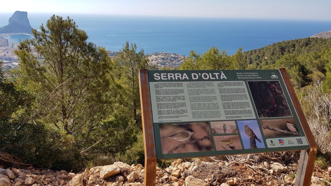 Rutas Ornitológicas en Calp Rutas Ornitológicas en Calp