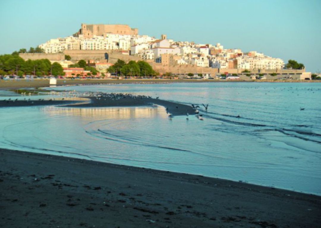 La Generalitat recurre al Tribunal Supremo para que el plan de acción de protección de la costa siga en vigor La Generalitat recurre al Tribunal Supremo para que el plan de acción de protección de la costa siga en vigor