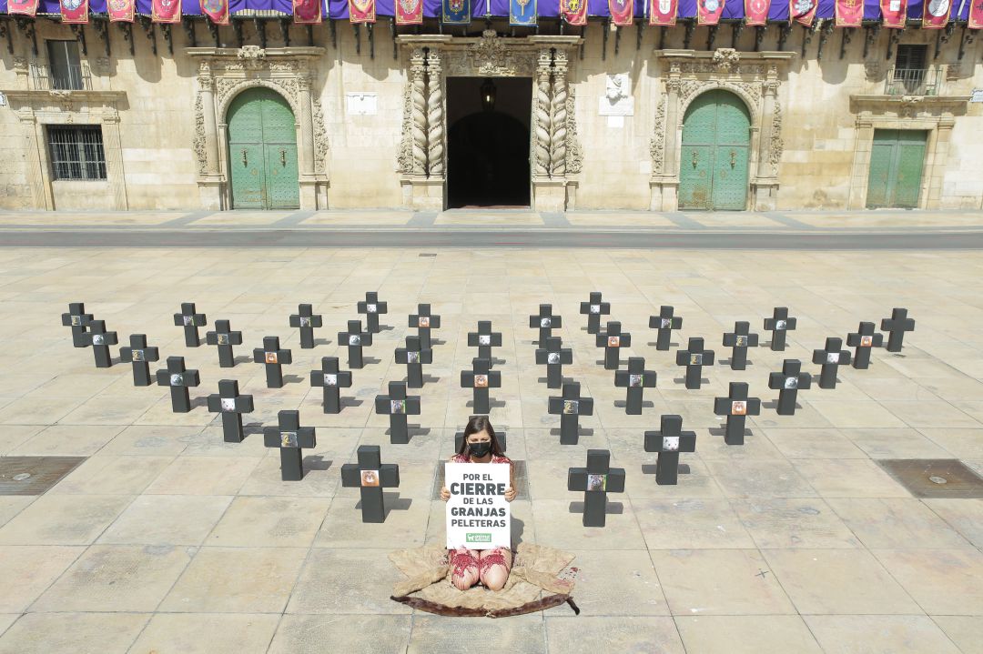 Acción protesta en la Plaza del Ayuntamiento de Alicante contra las granjas peleteras Acción protesta en la Plaza del Ayuntamiento de Alicante contra las granjas peleteras