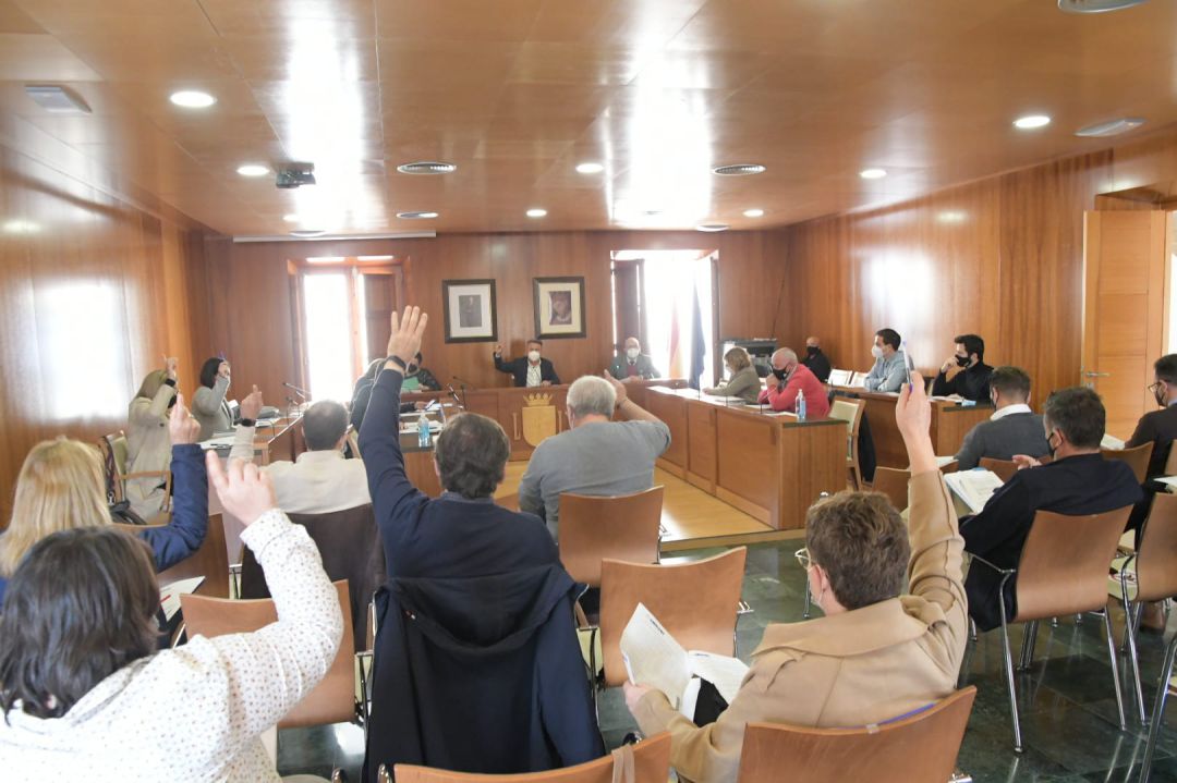 Momento del pleno de marzo de 2021. Momento del pleno de marzo de 2021.