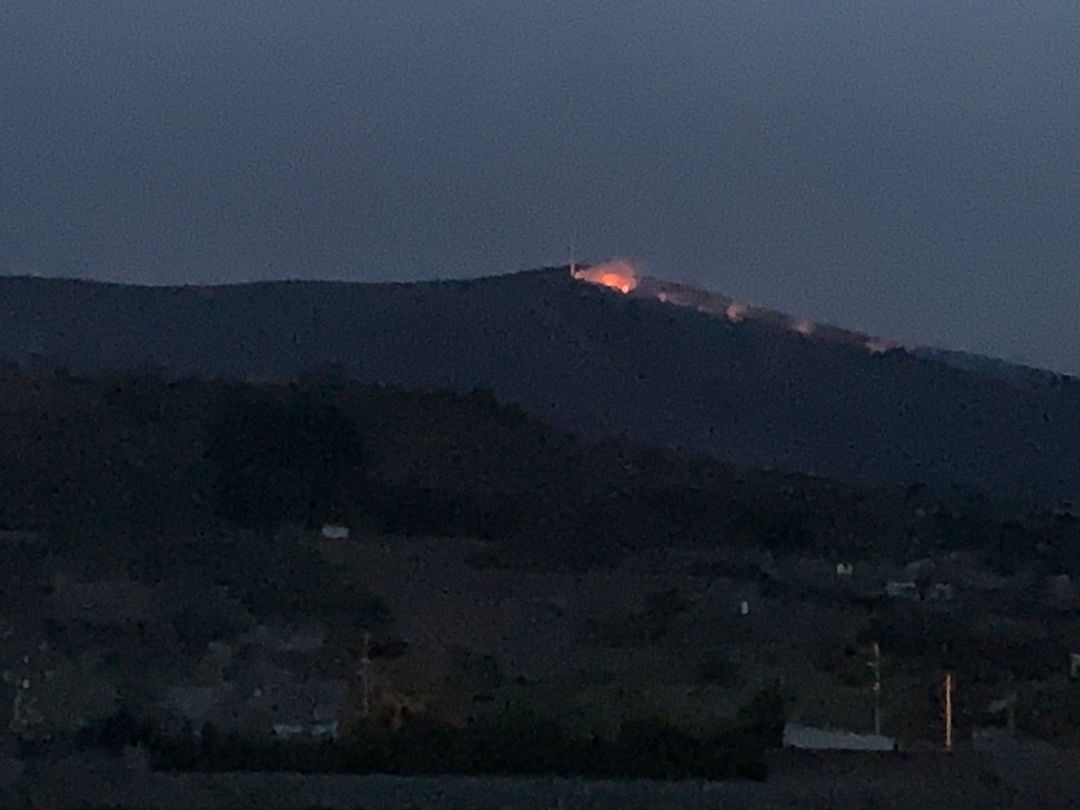 El incendio se extendió por un pinar La Mallarina El incendio se extendió por un pinar La Mallarina