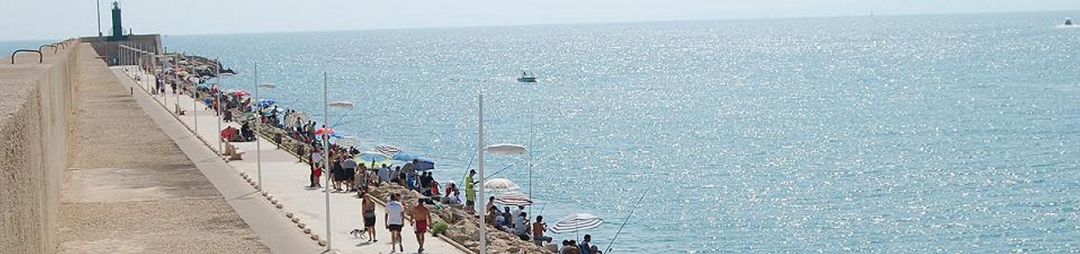 Imagen de archivo de los usuarios del Club de Pesca Deportiva de Gandia Imagen de archivo de los usuarios del Club de Pesca Deportiva de Gandia