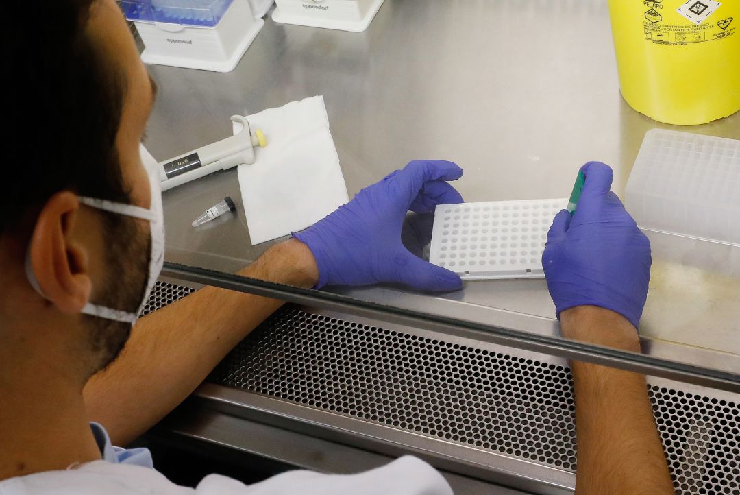 Personal trabajando en un laboratorio con muestras PCR. Personal trabajando en un laboratorio con muestras PCR.