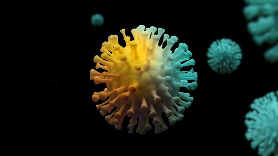 Imagen del coronavirus que ha causado la pandemia Imagen del coronavirus que ha causado la pandemia