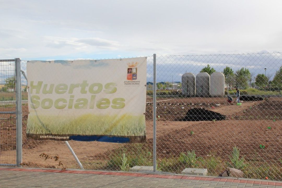Terrenos donde se ubican los huertos Terrenos donde se ubican los huertos