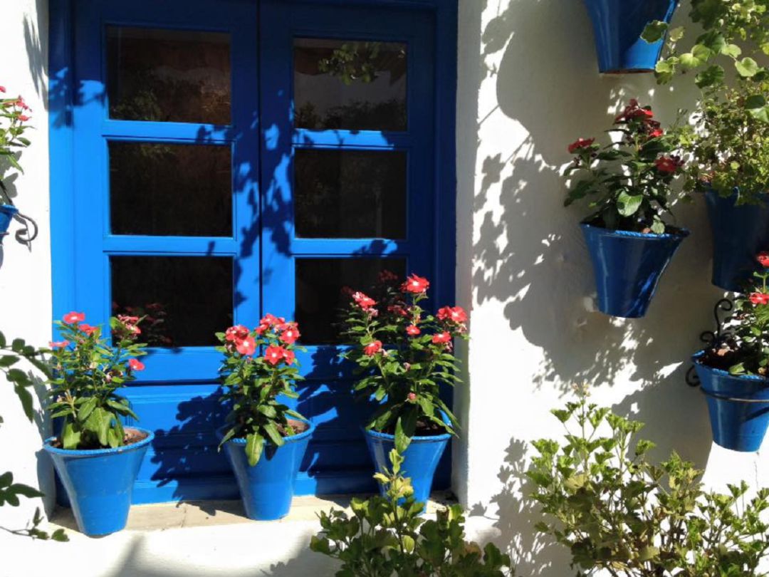 Un patio cordobés. Un patio cordobés.