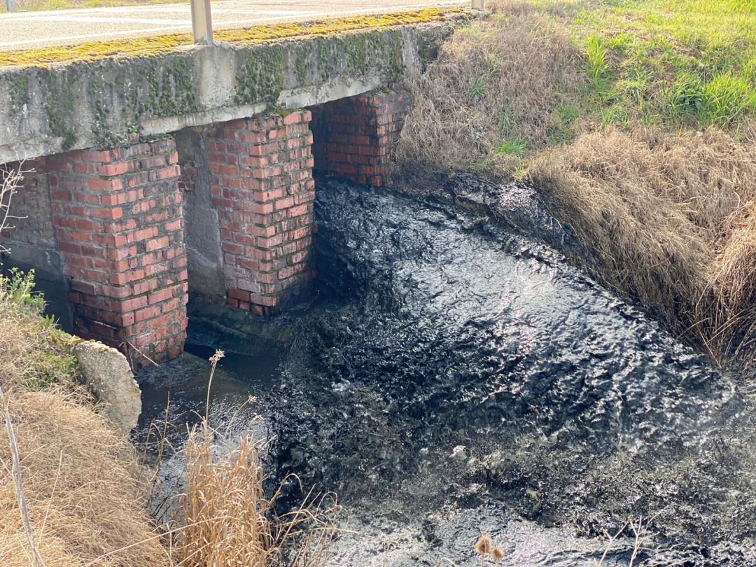 Aspecto que presentaba el arroyo tras el vertido del pasado fin de semana Aspecto que presentaba el arroyo tras el vertido del pasado fin de semana