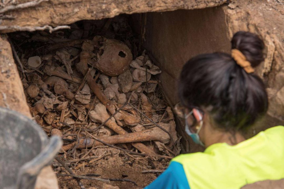 Una técnico del personal de excavación observa un cráneo humano y otros restos humanos en la apertura de la fosa. Una técnico del personal de excavación observa un cráneo humano y otros restos humanos en la apertura de la fosa.