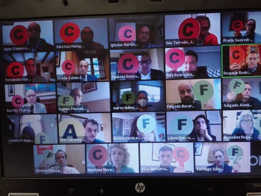 Una votación en el pleno telemático de la Diputación Una votación en el pleno telemático de la Diputación