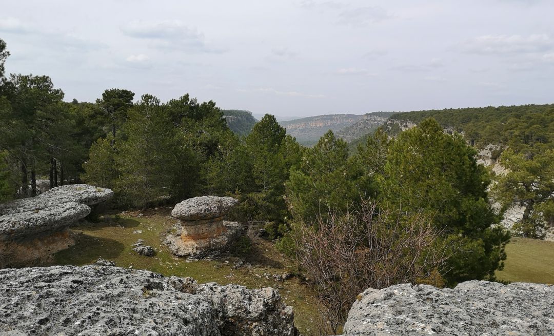 Paisaje en la ruta hacia el mirador de la Piedra del Balcón, en la Serranía de Cuenca. Paisaje en la ruta hacia el mirador de la Piedra del Balcón, en la Serranía de Cuenca.