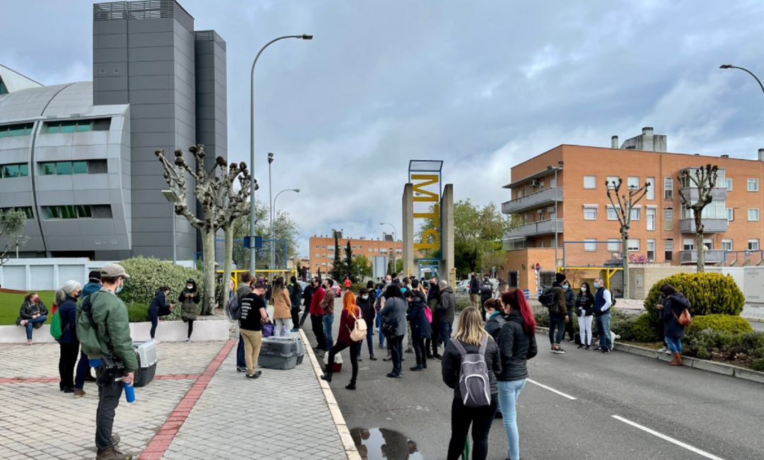 Activistas por la defensa de los animales se manifiestan en la puerta de Vivotencia por el caso de maltrato a los animales en su laboratorio. Activistas por la defensa de los animales se manifiestan en la puerta de Vivotencia por el caso de maltrato a los animales en su laboratorio.
