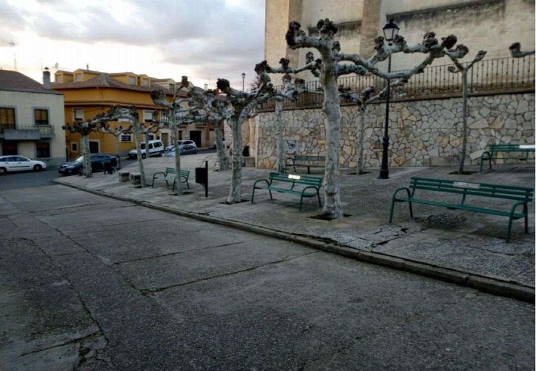 El pavimento está muy levantado por las raíces de los árboles y falta de actuaciones El pavimento está muy levantado por las raíces de los árboles y falta de actuaciones