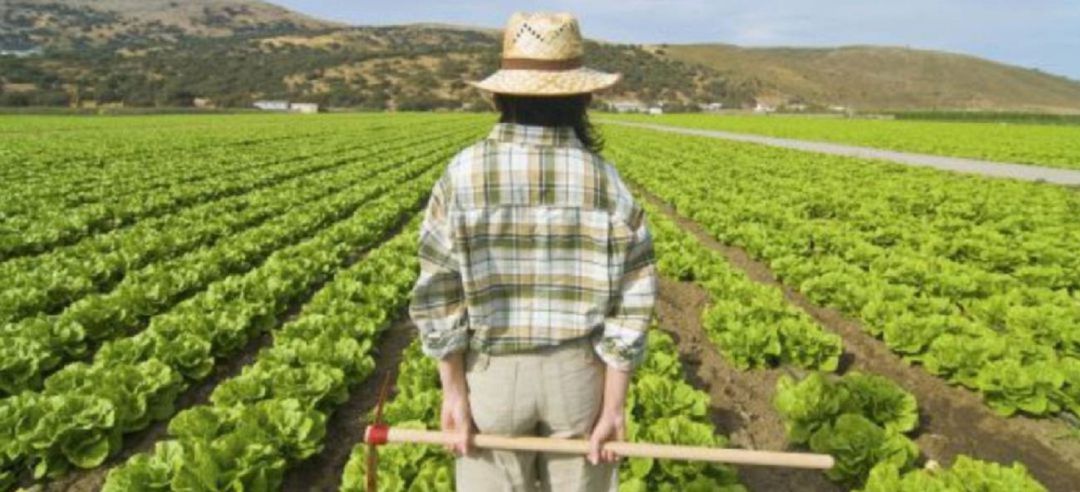 Imagen agricultor Imagen agricultor