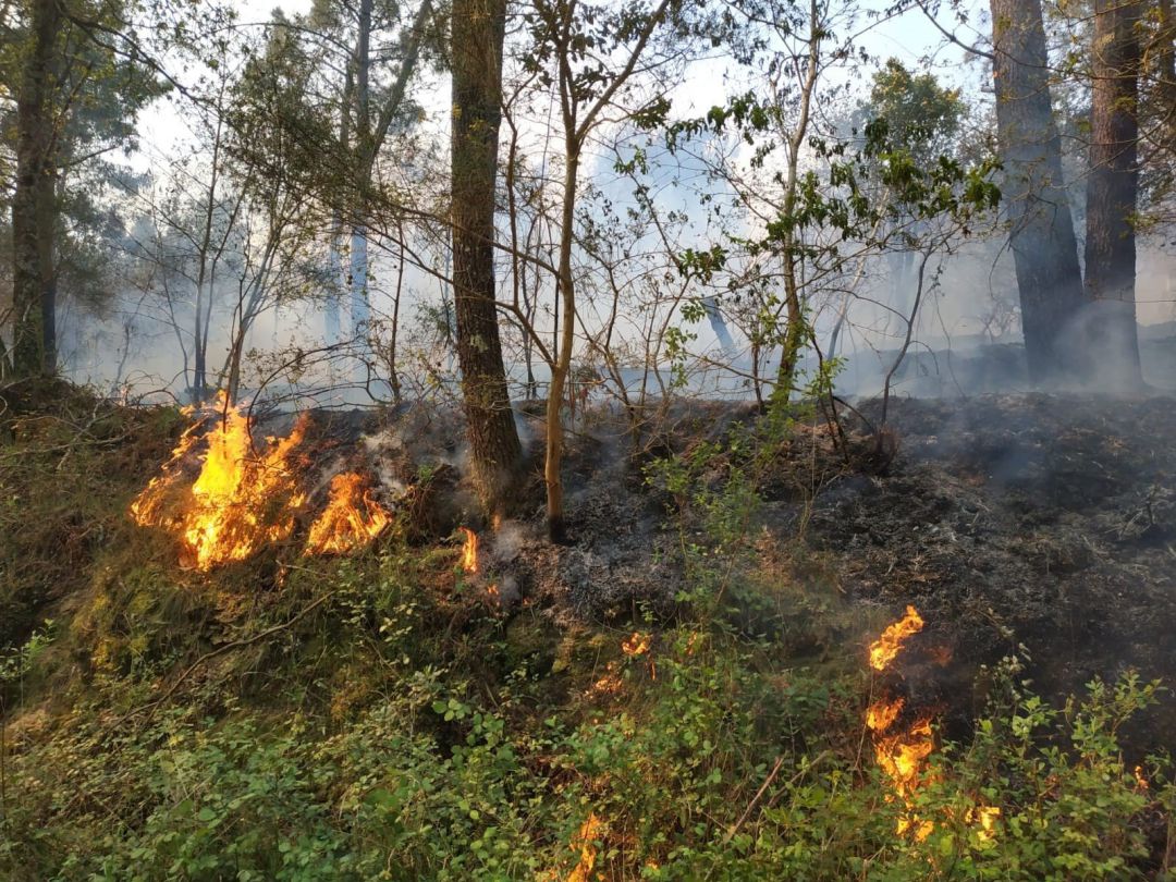 En la fotografía, un incendio que tuvo lugar en Verín En la fotografía, un incendio que tuvo lugar en Verín