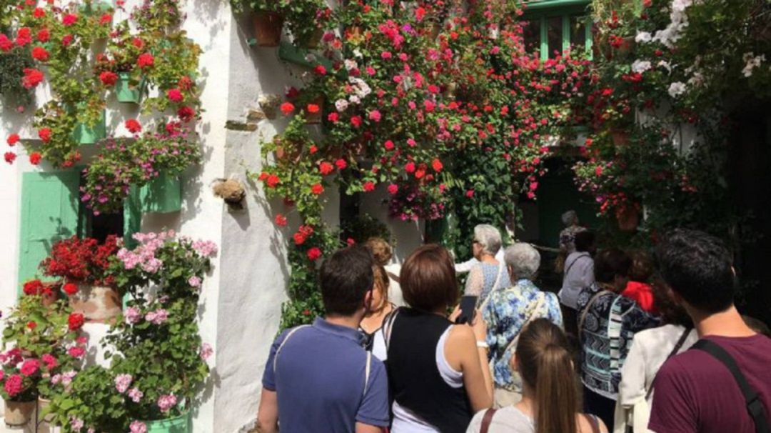 Los patios volverán a abrir sus puertas Los patios volverán a abrir sus puertas