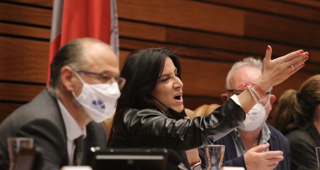 En la imagen la socialista Ana Sánchez antes de ser expulsada En la imagen la socialista Ana Sánchez antes de ser expulsada