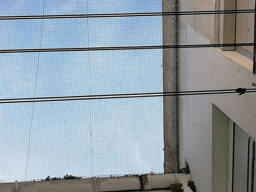 Red colocada por los vecinos para evitar los poblemas ocasionados con las palomas Red colocada por los vecinos para evitar los poblemas ocasionados con las palomas