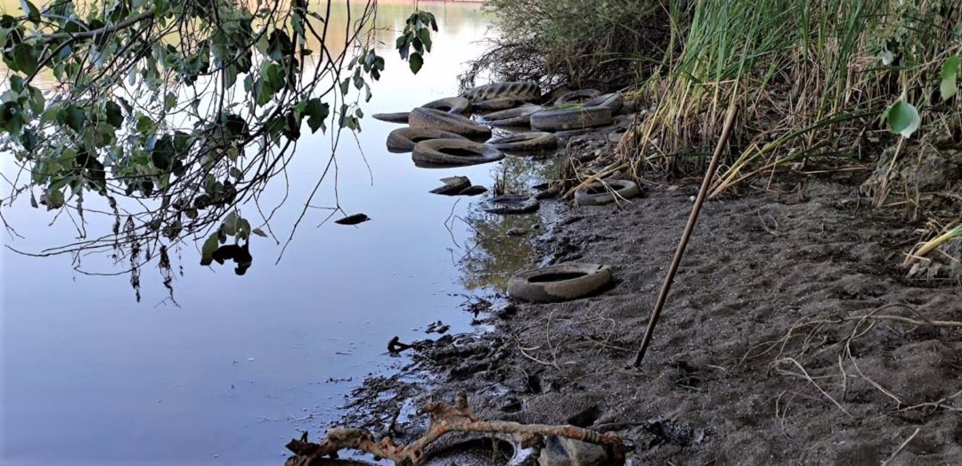 Vertido ilegal de neumáticos en el río a su paso por Mérida Vertido ilegal de neumáticos en el río a su paso por Mérida