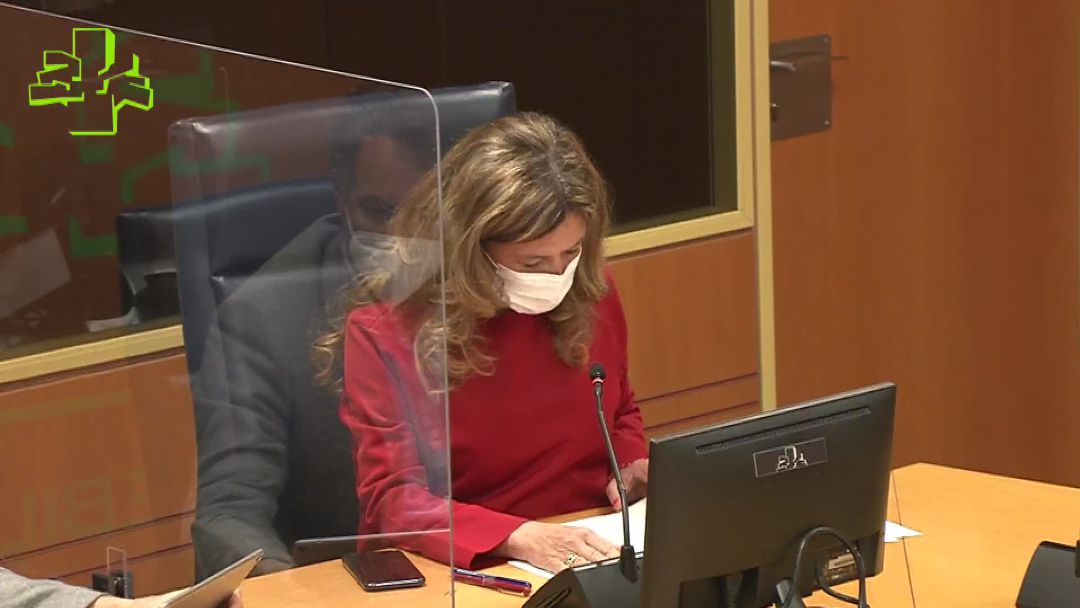 La consejera de salud, Gotzone Sagardui, durante su comparecencia La consejera de salud, Gotzone Sagardui, durante su comparecencia