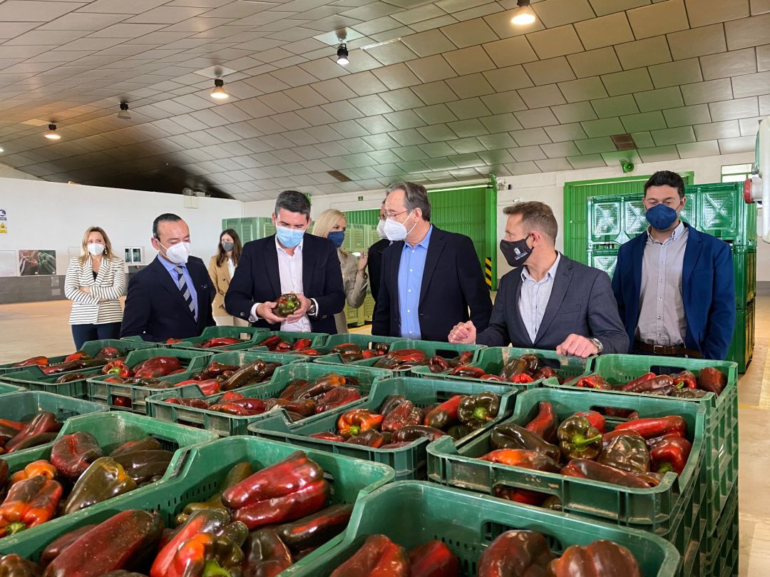 Subasta de pimientos Subasta de pimientos