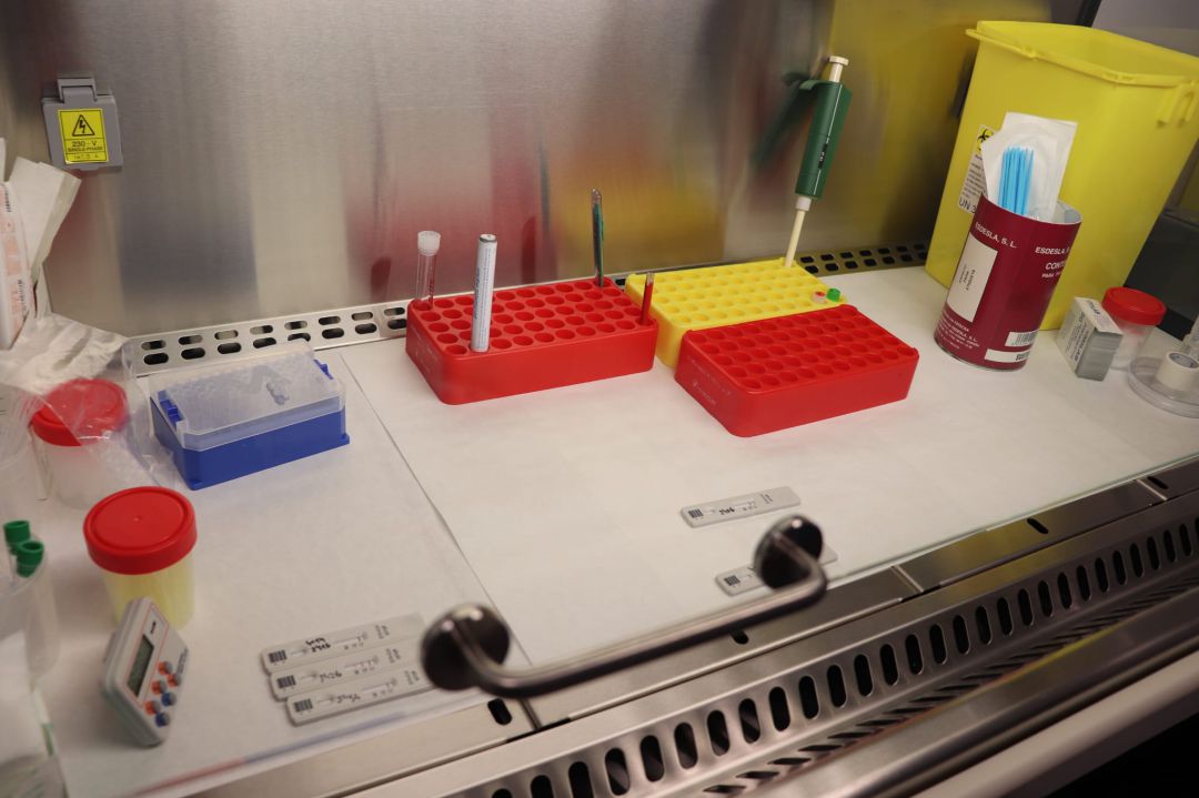 Laboratorio de Can Misses Laboratorio de Can Misses